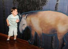 Foto de la galería: Un día en Iguazú