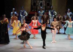 Foto de la galería: Lago de los Cisnes en el Teatro Lírico