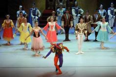 Foto de la galería: Lago de los Cisnes en el Teatro Lírico