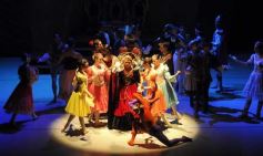 Foto de la galería: Lago de los Cisnes en el Teatro Lírico