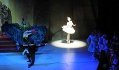 Foto de la galería: Lago de los Cisnes en el Teatro Lírico