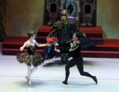 Foto de la galería: Lago de los Cisnes en el Teatro Lírico