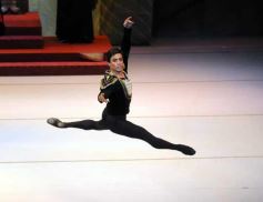 Foto de la galería: Lago de los Cisnes en el Teatro Lírico