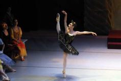 Foto de la galería: Lago de los Cisnes en el Teatro Lírico