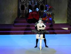 Foto de la galería: Lago de los Cisnes en el Teatro Lírico