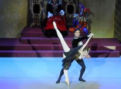 Foto de la galería: Lago de los Cisnes en el Teatro Lírico