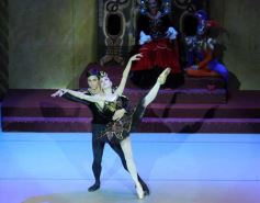 Foto de la galería: Lago de los Cisnes en el Teatro Lírico