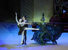 Foto de la galería: Lago de los Cisnes en el Teatro Lírico