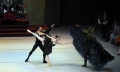 Foto de la galería: Lago de los Cisnes en el Teatro Lírico