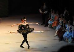 Foto de la galería: Lago de los Cisnes en el Teatro Lírico