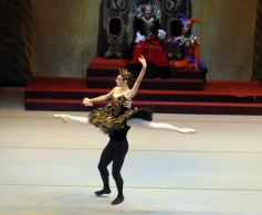 Foto de la galería: Lago de los Cisnes en el Teatro Lírico