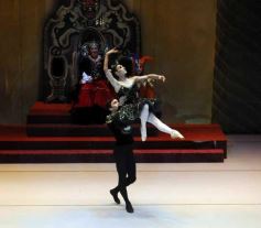 Foto de la galería: Lago de los Cisnes en el Teatro Lírico