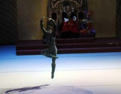 Foto de la galería: Lago de los Cisnes en el Teatro Lírico