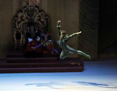 Foto de la galería: Lago de los Cisnes en el Teatro Lírico