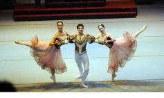 Foto de la galería: Lago de los Cisnes en el Teatro Lírico