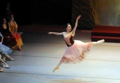 Foto de la galería: Lago de los Cisnes en el Teatro Lírico