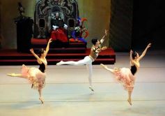 Foto de la galería: Lago de los Cisnes en el Teatro Lírico