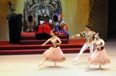 Foto de la galería: Lago de los Cisnes en el Teatro Lírico