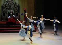 Foto de la galería: Lago de los Cisnes en el Teatro Lírico