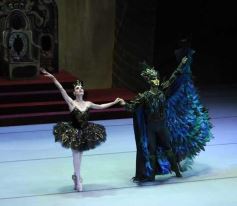 Foto de la galería: Lago de los Cisnes en el Teatro Lírico