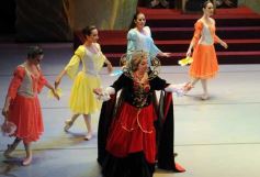 Foto de la galería: Lago de los Cisnes en el Teatro Lírico