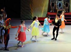 Foto de la galería: Lago de los Cisnes en el Teatro Lírico