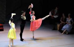 Foto de la galería: Lago de los Cisnes en el Teatro Lírico