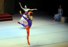 Foto de la galería: Lago de los Cisnes en el Teatro Lírico