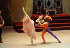 Foto de la galería: Lago de los Cisnes en el Teatro Lírico