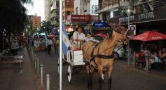 Foto de la galería: Día de la Tradición en Posadas