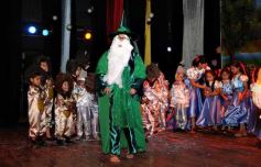 Foto de la galería: Jardín de Infantes del Colegio Del Carmen: Acto y show del fin de clases