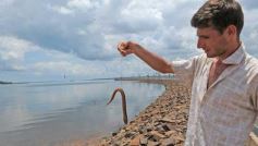 Foto de la galería: Paseos y trabajos!!