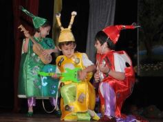 Sixto Fotografías. Sociedad. Instituto Montoya - Jardín de Infantes del Colegio Del Carmen: Acto y show del fin de clases