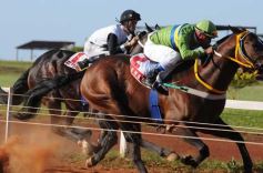 Sixto Fotografías. Deportes. Turf - Volvió la fiesta del Turf en Posadas