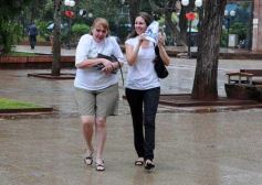 Foto de la galería: Paseo y Trabajo en Posadas