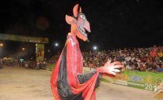 Foto de la galería: Baile y Show!!! 1ra. parte