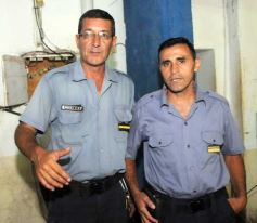 Foto de la galería: Paseo y trabajos