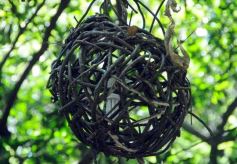 Foto de la galería: La Aldea de la Selva, Iguazú Misiones