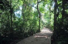 Foto de la galería: La Aldea de la Selva, Iguazú Misiones