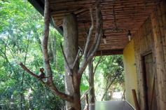 Foto de la galería: La Aldea de la Selva, Iguazú Misiones