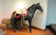 Foto de la galería: Muestra federal de Artesanías del Bicentenario