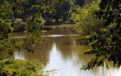 Foto de la galería: Recorridas por el Pueblo de Andresito!!