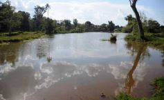 Foto de la galería: Recorridas por el Pueblo de Andresito!!