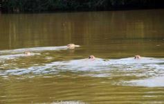 Foto de la galería: Recorridas por el Pueblo de Andresito!!