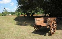 Foto de la galería: Recorridas por el Pueblo de Andresito!!