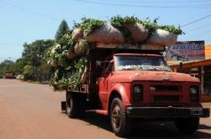 Foto de la galería: Recorridas por el Pueblo de Andresito!!