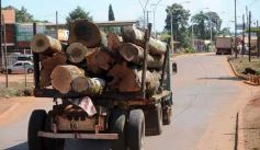 Foto de la galería: Recorridas por el Pueblo de Andresito!!