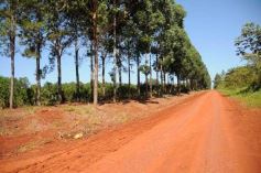 Foto de la galería: Recorridas por el Pueblo de Andresito!!