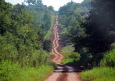Foto de la galería: Recorridas por el Pueblo de Andresito!!