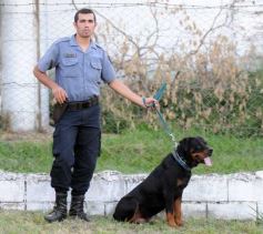 Foto de la galería: Brown 0-Sarmiento 1